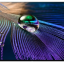 65" Телевизор Sony XR-65A90J 2021 OLED, HDR, черный титан