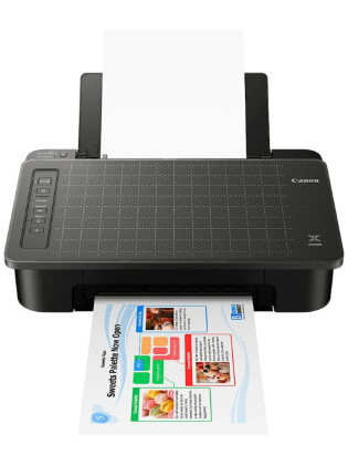 Принтер Canon PIXMA TS304