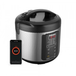 Мультиварка REDMOND SkyCooker M225S, серебристый